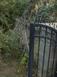 第55集 - 如龍贅婿