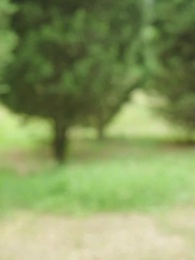 Episode 70 - Her Love, Her Weapon