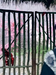 Escamas del Dragón - Episode 2