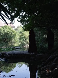 第44集 - 天下第一女婿