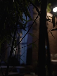 天下第一女婿 - Episode 17