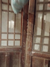 58화 - 왕의 어머니