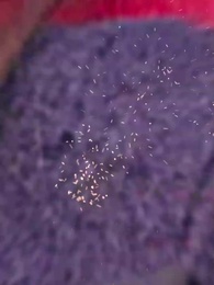 重回這一世只為妻女而活 - Episode 1