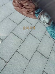 27화 - 왕의 어머니