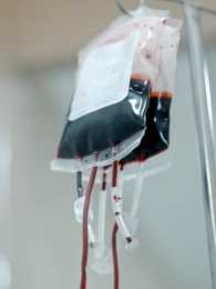 Matrimonio exprés, secretos de élite - Episode 78