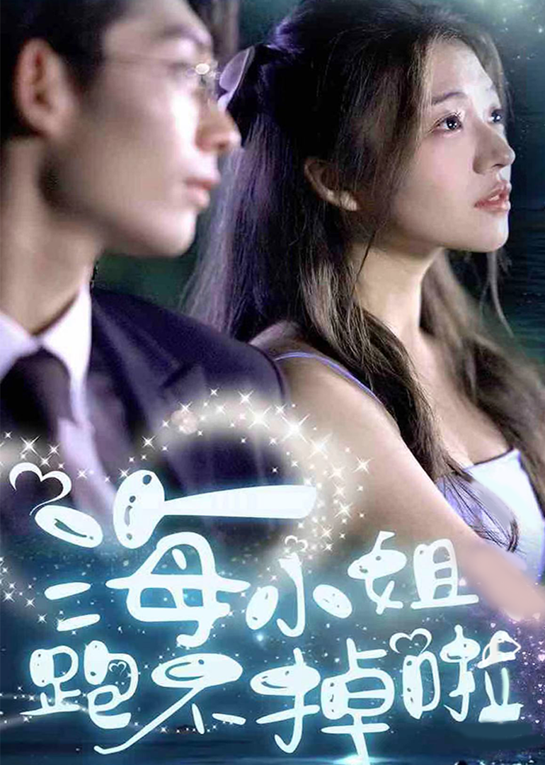 《海小姐跑不掉啦》封面