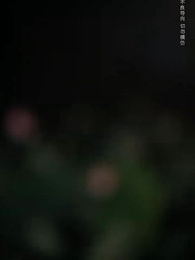 第1集 - 青鳥銜恨生