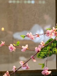 Mistérios do Trono: Imperador Disfarçado - Episode 58