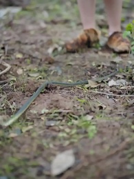 รักท่ามกลางผืนป่า: ที่รักแสนดุร้าย - Episode 48