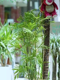 我的媳婦是總裁 - Episode 18