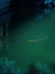 偽裝獵人 - Episode 3