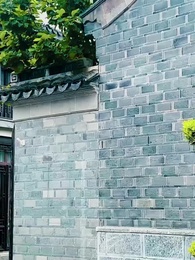 第45集 - 美女總裁的貼身狂龍