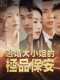 逃婚大小姐的極品保安