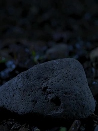 Episódio 1 - Segredos de Belém