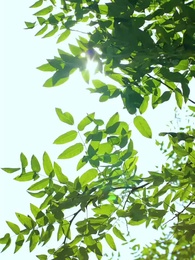 Kader Değişimi - Episode 59