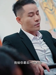 第14集 - 無敵王婿