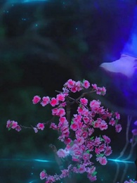 第11話 - 三世の契り、君へ