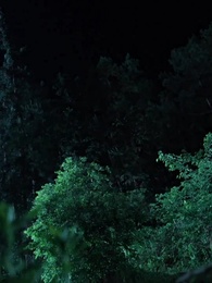 La Madre de los 99 Príncipes - Episode 1