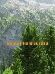 Bölüm 1 - Alpha Kralı Benim İkinci Eşim