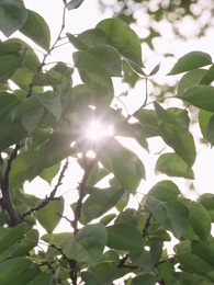 總裁有疾閃婚來襲 - Episode 52