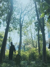 第8集 - 都市重生醫婿