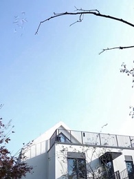 聖手醫婿 - Episode 2