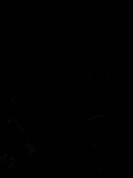 Episode 34 - Elite Operative