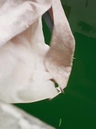 人面桃花笑春風 - Episode 9