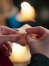 第28集 - 人面桃花笑春風