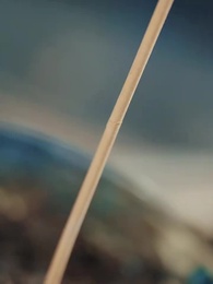 Episódio 9 - Amor Proibido em Três Vidas