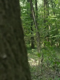 Das Wunderkind - Episode 67