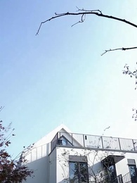 聖手醫婿 - Episode 3