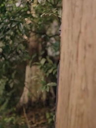 重回九十年代 - Episode 9