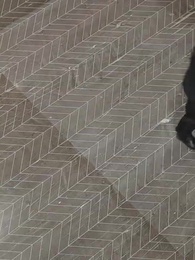 Das Wunderkind - Episode 47