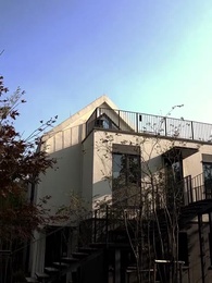 第22集 - 聖手醫婿