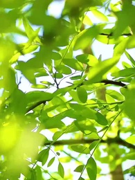 48화 - 숨겨진 진심