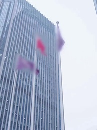 第24集 - 總裁有疾閃婚來襲