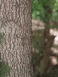 Episode 17 - Oops! I Dated a 80s Guy