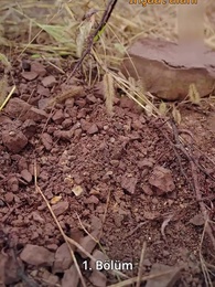 50'den Sonraki Yeni Hayatım - Episode 1