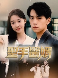 聖手醫婿