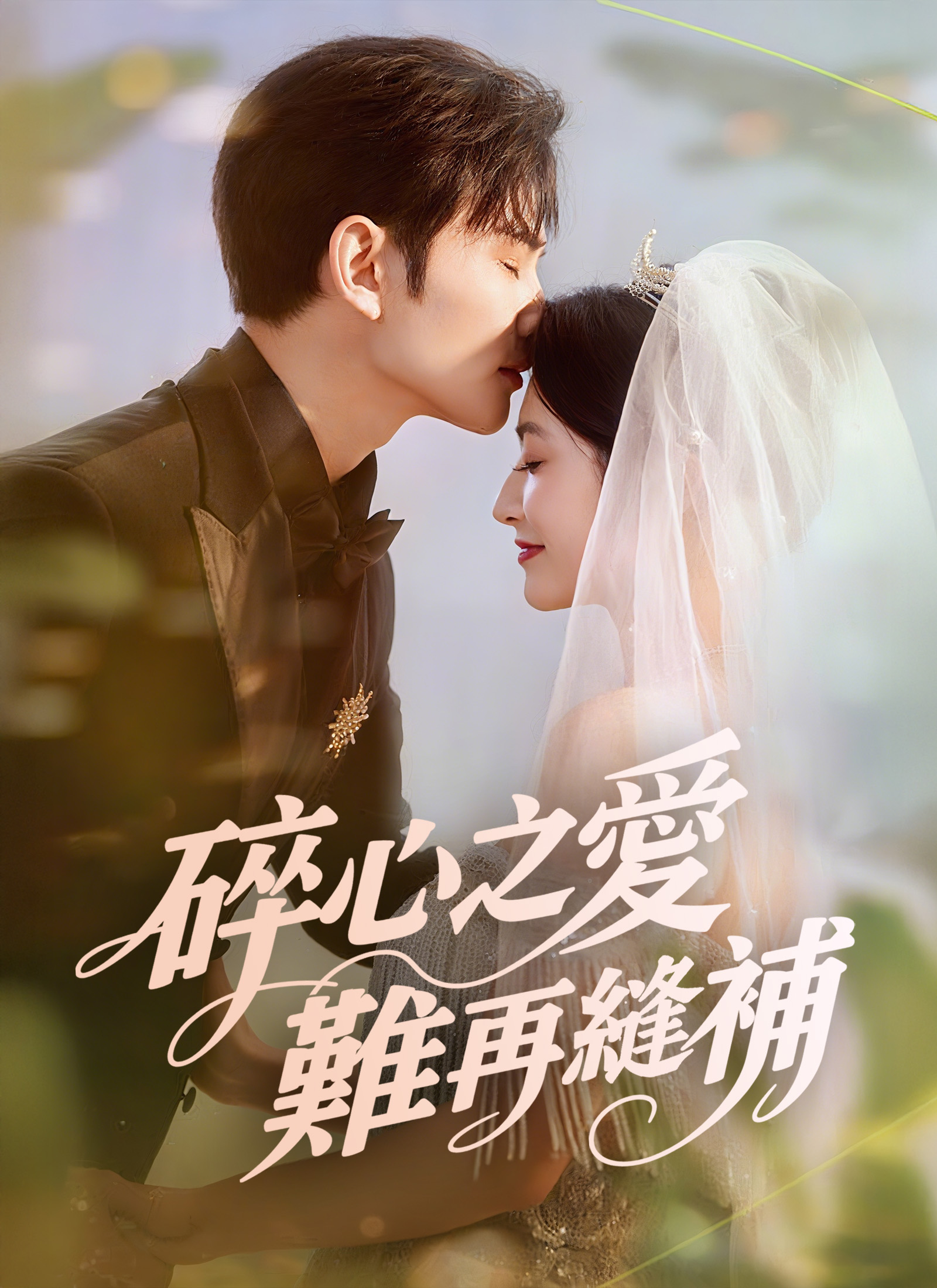 《碎心之愛，難再縫補》封面