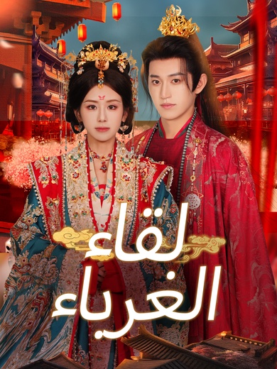 لقاء الغرباء