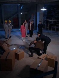 Episode 29 - Bis der Frühling erblüht