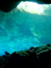 天師下山 - Episode 11