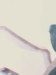 第66集 - 絕品小村醫