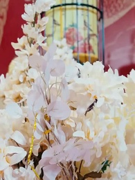 تنين الأمل - Episode 6