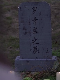 第99集 - 聖醫狂婿