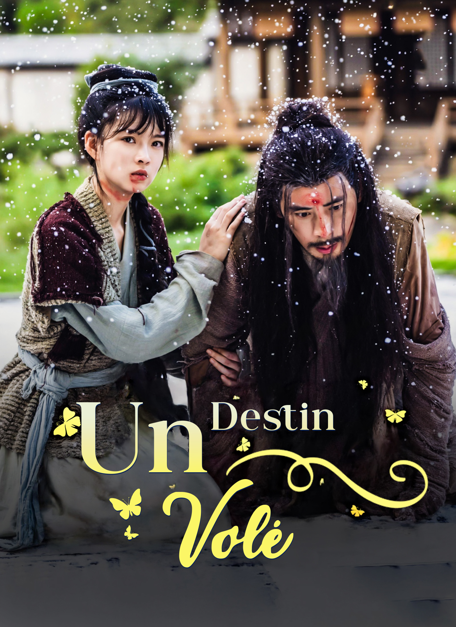 Couverture de Un Destin Volé