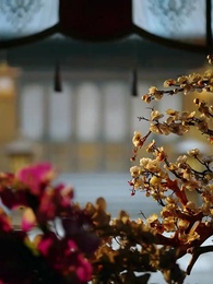 第25話 - 将軍邸での対決 古代人VS.現代人