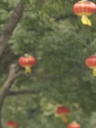 Episódio 115 - O Genro Poderoso